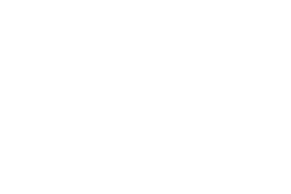 Logo Vale for Good Foundation